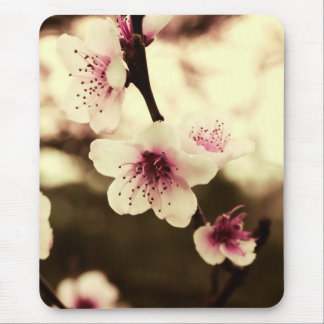 Primavera Blossoms Mousepad