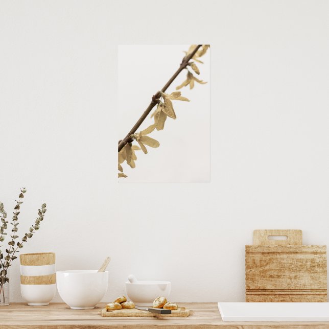 Primavera Chás no Poster Forsythia Flowers (Cozinha)