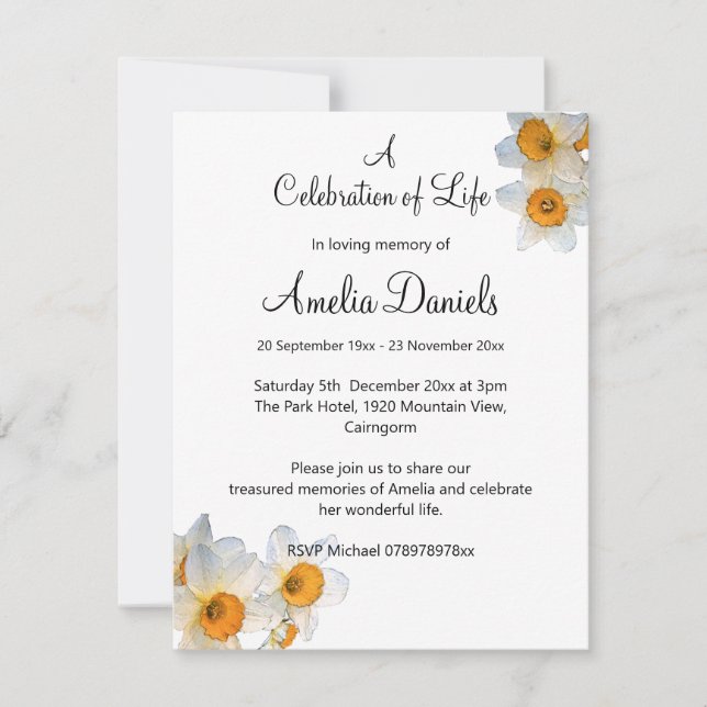 Primavera Daffodil Celebração do Anúncio da Vida (Frente)