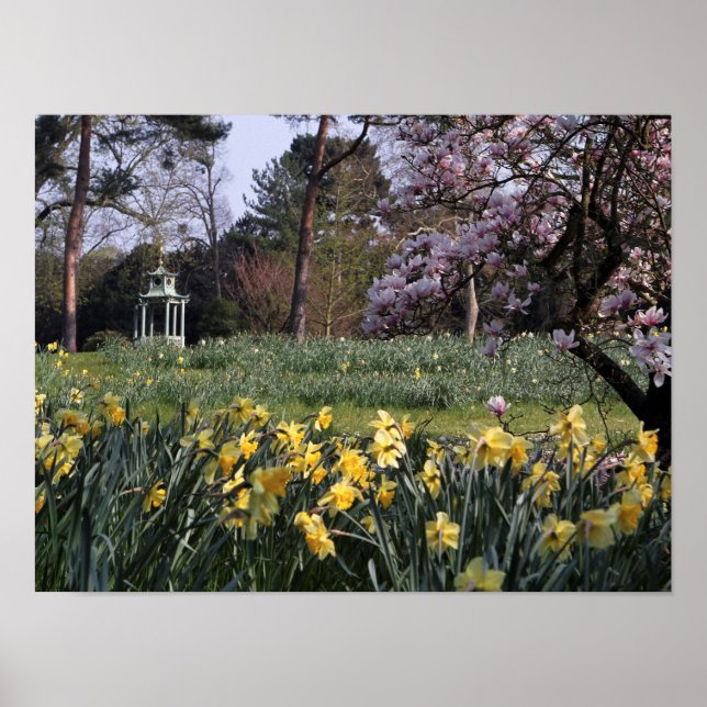 PRIMAVERA DAFFODIL GARDEN POSTER (Frente)