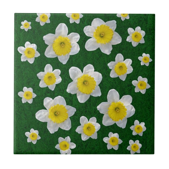 Primavera Daffodils (Frente)