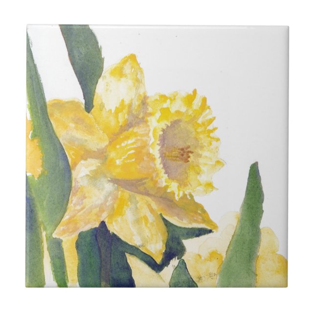 Primavera Daffodils (Frente)