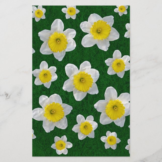 Primavera Daffodils (Frente)