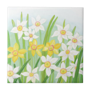 Primavera Daffodils