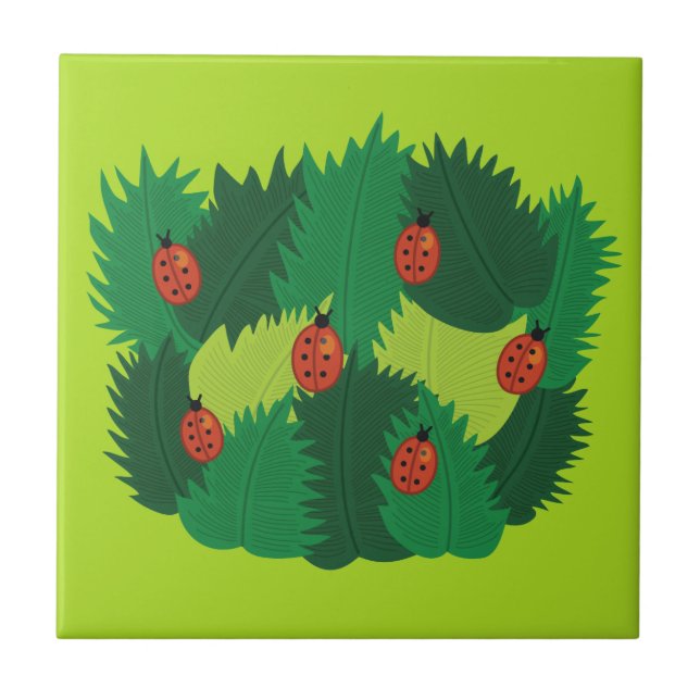 Primavera das folhas e dos joaninhas do verde (Frente)