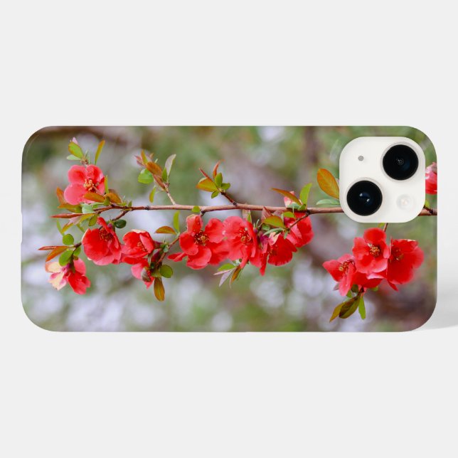 Primavera de Blooming (Verso (horizontal))