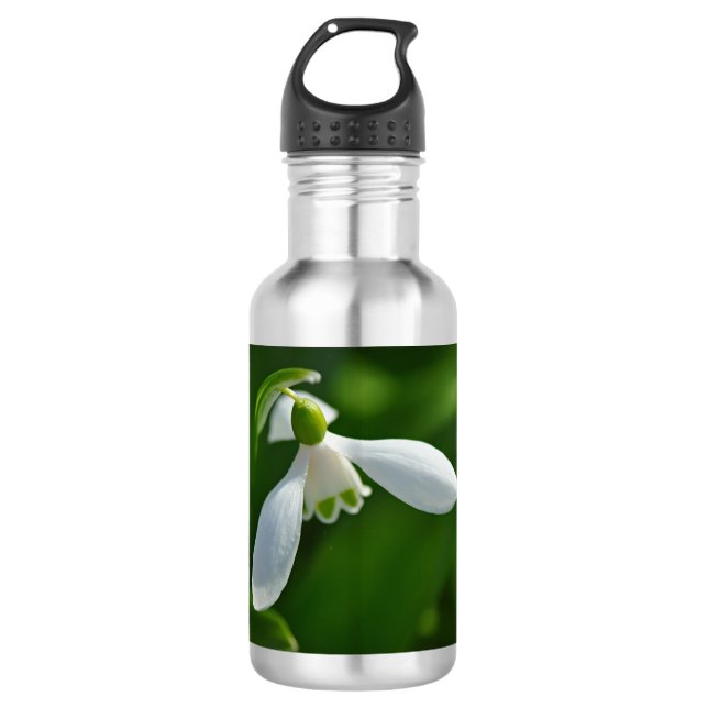 Primavera de garrafa de água (Frente)