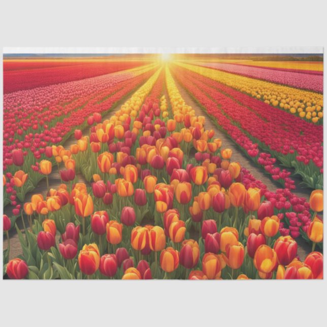 Primavera de Verão Campo de Tulipas Papel de Decou (Frente )
