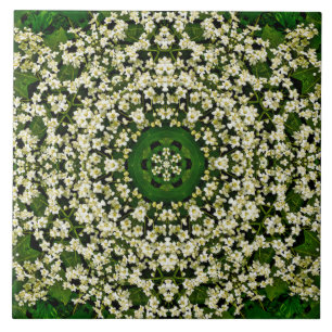 Primavera Elderberry Flowers Azulejo cerâmico