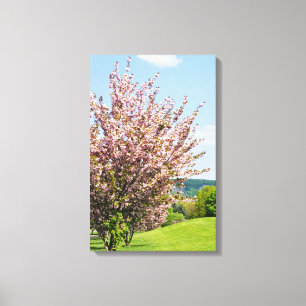 Primavera em Bonn Wrapped Canvas