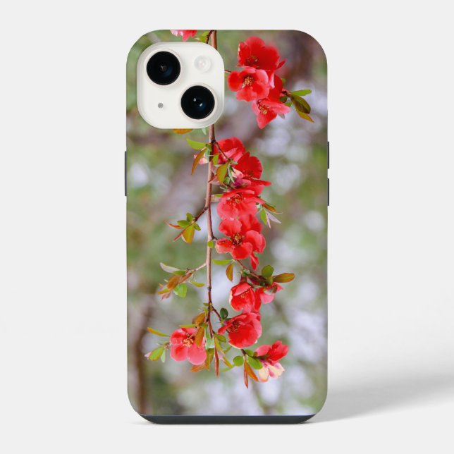 Primavera em Flor (Verso)