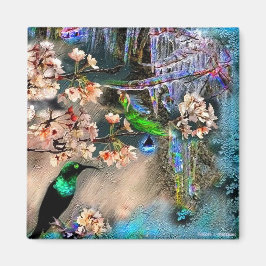 Primavera Equinox, imã