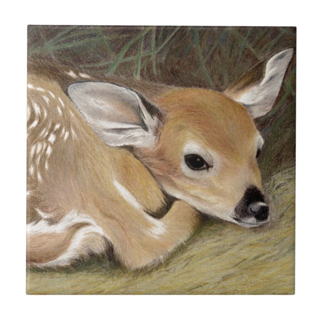 Primavera Fawn (Frente)