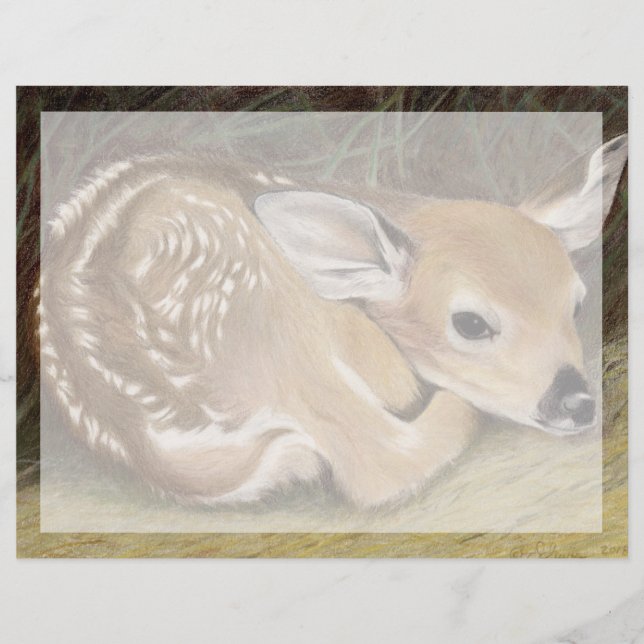 Primavera Fawn (Frente)