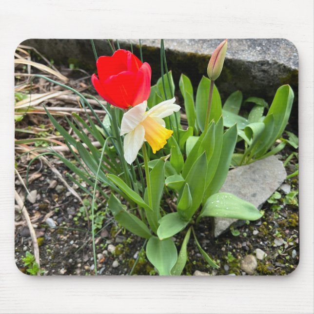 Primavera floral mouse pad (Frente)