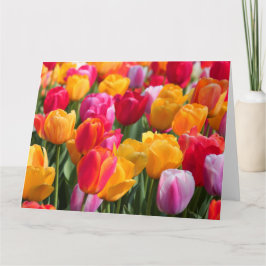 Primavera grande do cartão no Gardens1 afundado