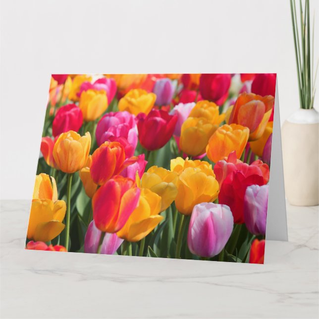 Primavera grande do cartão no Gardens1 afundado (Frente)