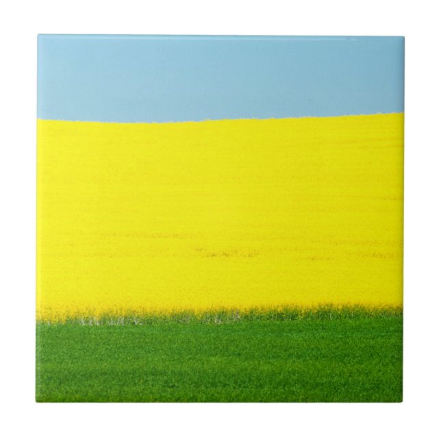 Primavera Landscape Meadow (Frente)
