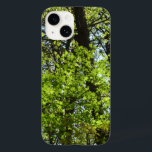 Primavera Maple Deixa a natureza<br><div class="desc">É a primavera quando há folhas verdes perfeitas começando nas árvores - sem picadas de insetos ou doenças! Aqui está uma foto de folhas de primavera em uma árvore. Veja em nossa loja mais fotos da árvore de primavera. Esta imagem também é apresentada como o papel de parede panorâmico "Folhas...</div>