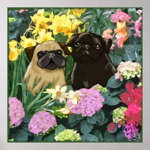 Primavera Pugs Poster