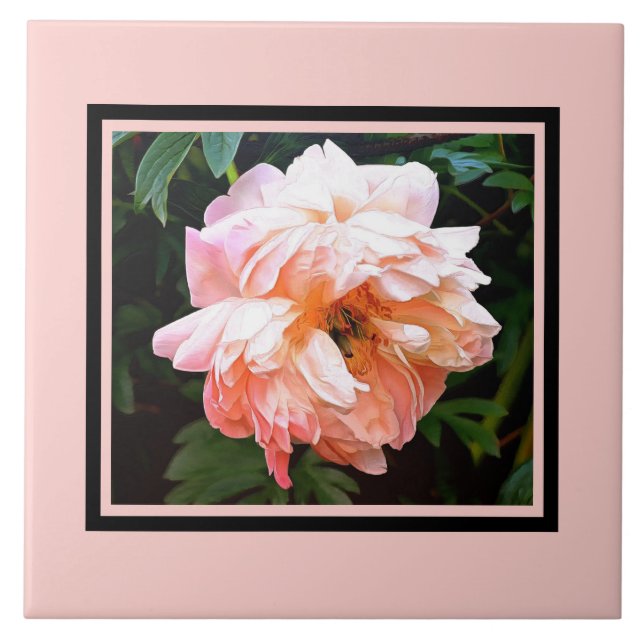 Primavera romântico Peony em Pale Peach (Frente)