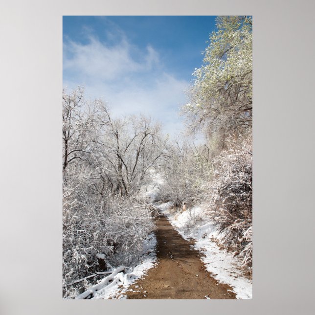 Primavera Snow Nature Poster (Frente)