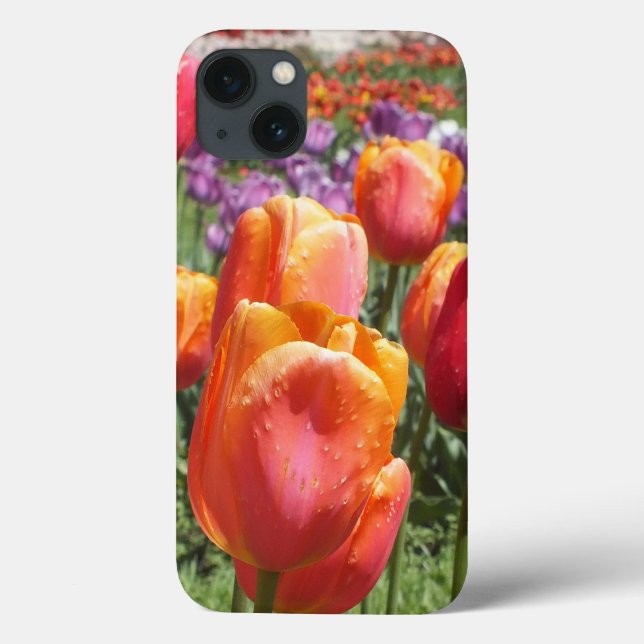 Primavera Tulips MiniPad Retina (Verso)