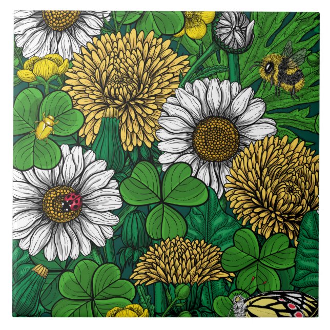 Primavera verde (Frente)