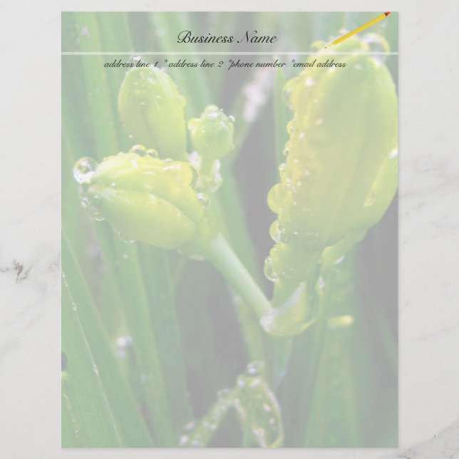 primavera verde-lírios (Frente)