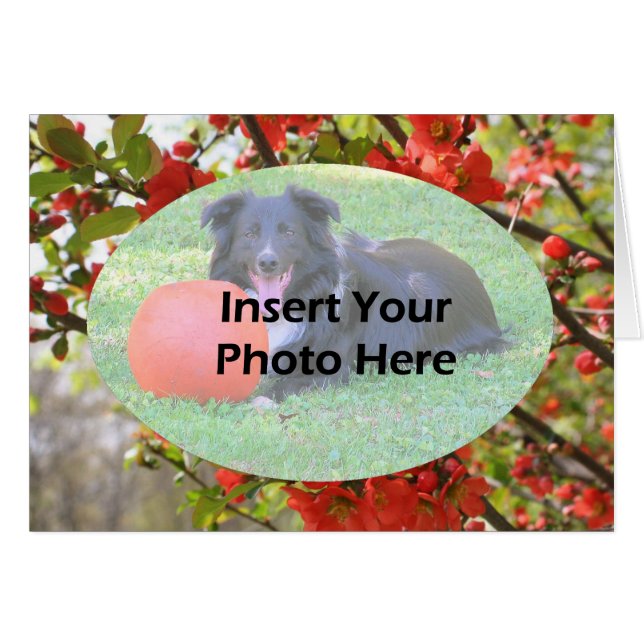 Primavera Vermelho Brilhante Cartão com fotos Flor (Frente Horizontal)