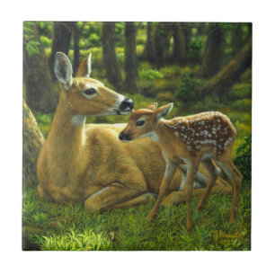 Primavera Whitetail Fawn e Madre Deer