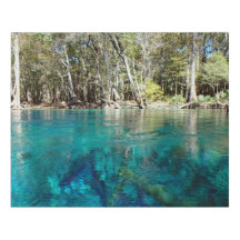 Primaveras do Cypress
