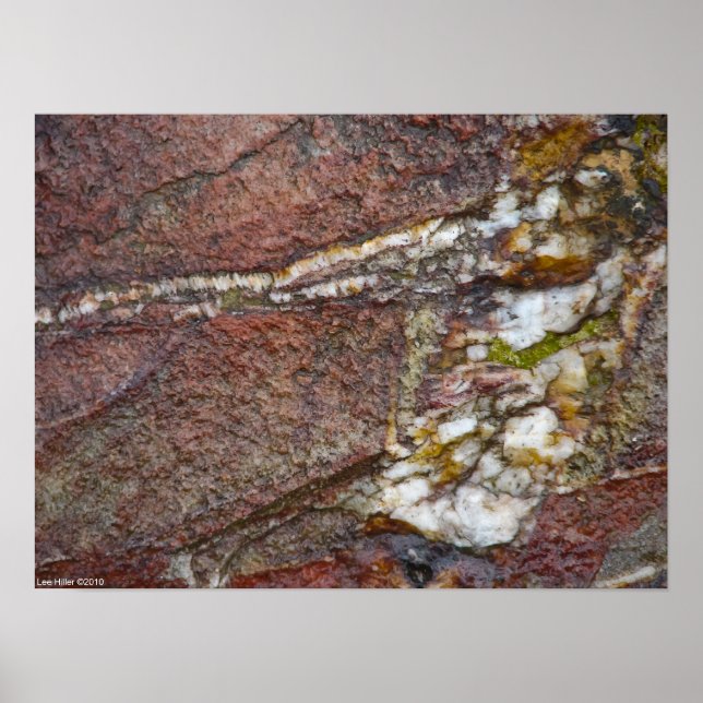 "Prime Rib Rock" Sandstone Quartz Poster (Frente)