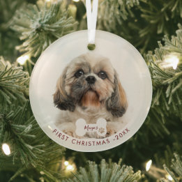 Primeira Foto de Natal do Cachorro Shih Tzu Pet