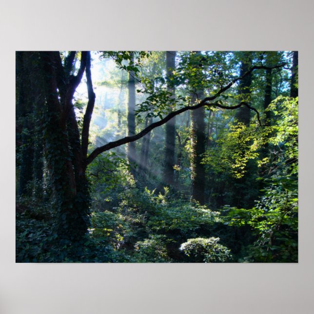 Primeira Impressão de luz (Frente)