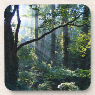 Primeira Porta copos de Cork Luz