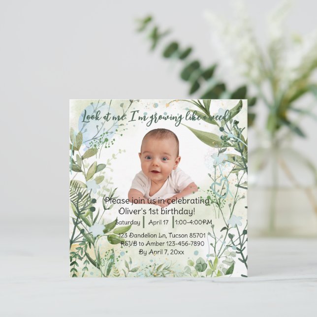 Primeiro aniversario do bebê, olha para mim... (Em pé/Frente)