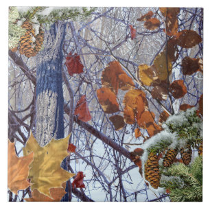 Primeiro impressão de Camo da floresta do inverno