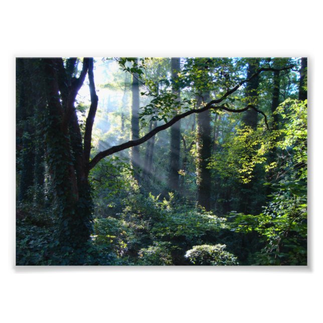 Primeiro Impressão de Fotografia Luz (Frente)