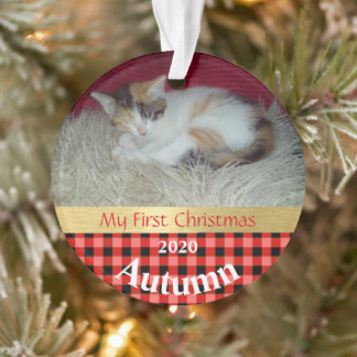 Primeiro Ornamento de Fotos de Natal de Kitten