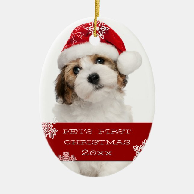 Primeiro Ornamento de Fotos de Pet de Natal| VERME (Frente)
