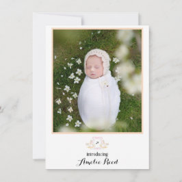 Primeiros Anúncios de Bebê Foto Rosa De Cavalo Fog