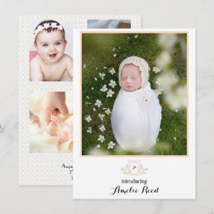 Primeiros Anúncios de Bebê Foto Rosa De Cavalo Fog