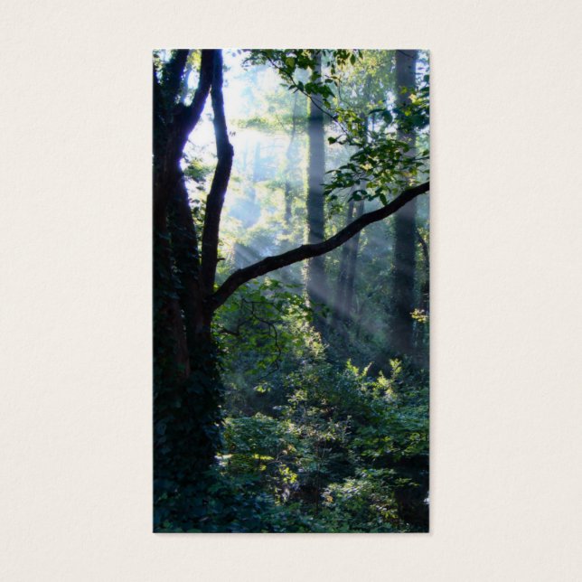 Primeiros favoritos leves (Frente)