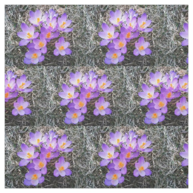 PRIMEIROS SINAIS DE PRIMAVERA tecido (Modelo)