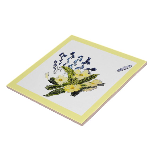 Primrose Bluebells Blue Yellow Nature (Lateral)