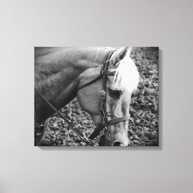Prin Canvas de Cavalo Palomino Negro e Branco Ocid (Frente)