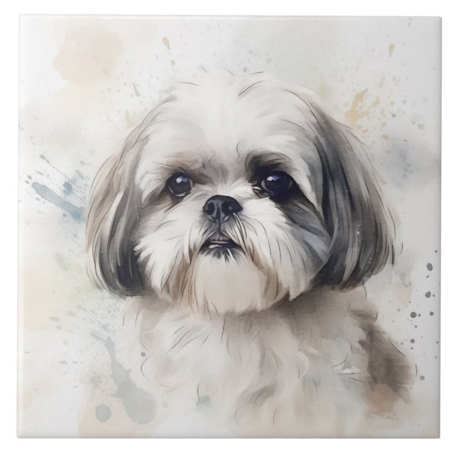 Prince Shih Tzu dog, Watercolor pet (Frente)