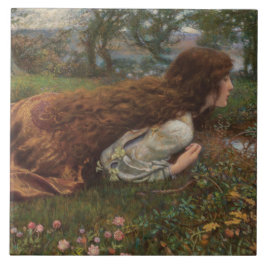 Princesa fora da escola (por E.R. Hughes)