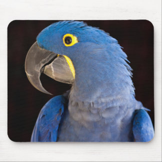 Princesa Tara Mousepad